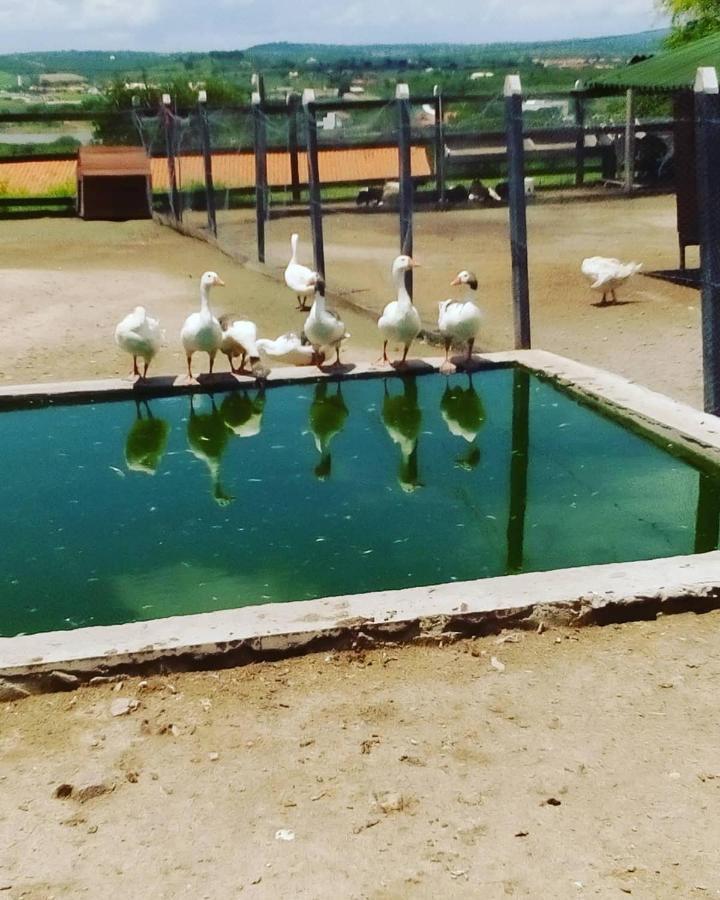 Flat Fazenda Monte Castelo-ao Lado Da Piscina Apartment Gravata (Gravata, Pernambuco)