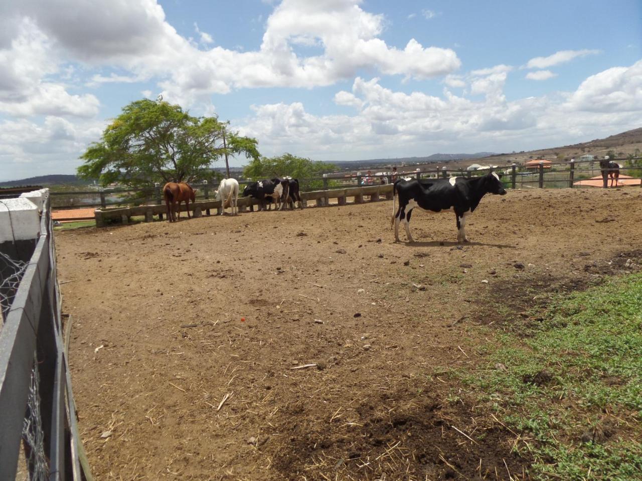Flat Fazenda Monte Castelo-ao Lado Da Piscina * Gravata (Gravata, Pernambuco)